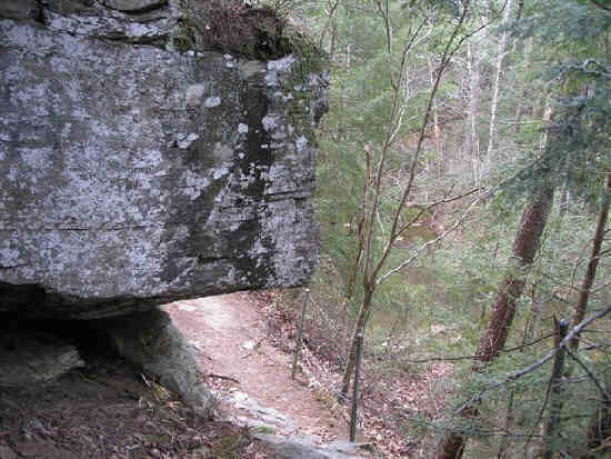 Rock cliffs and boulders are typical in this area.