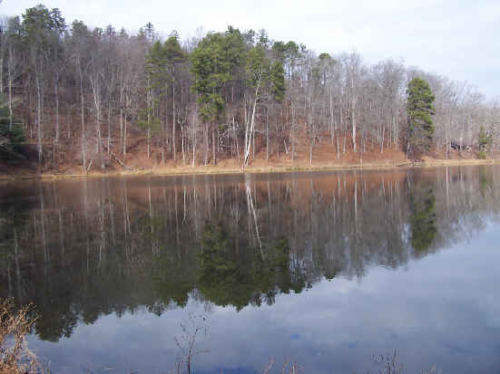 Nancytown Lake!