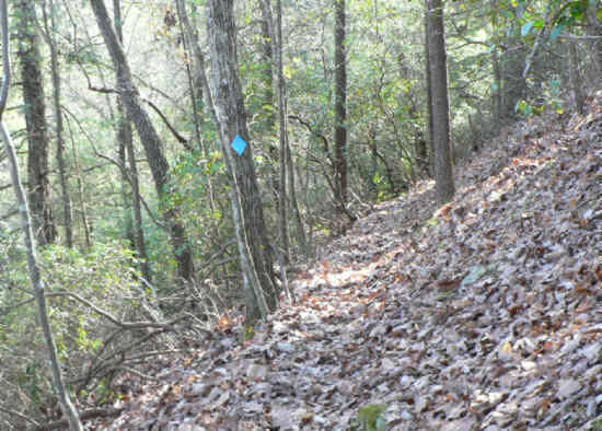 The trail is very well-marked and maintained.