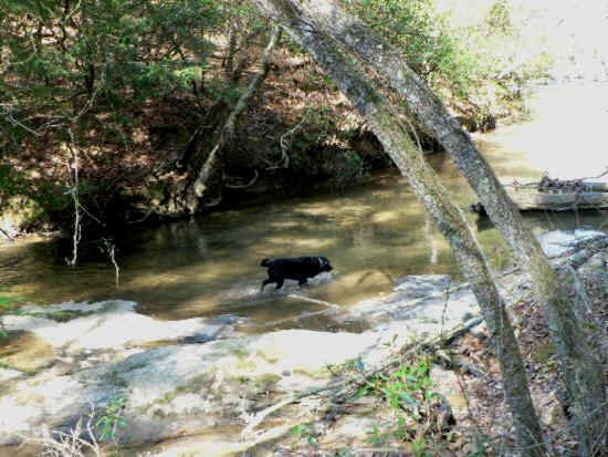 A peaceful spot along the Broad River.