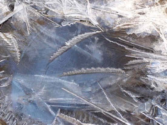 Pretty ice crystals