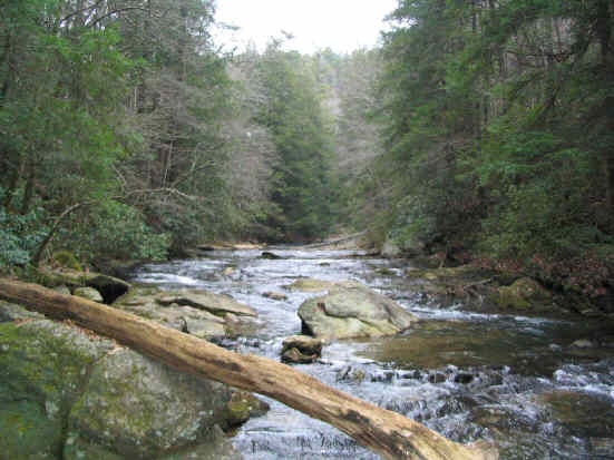 Beautiful Panther Creek.