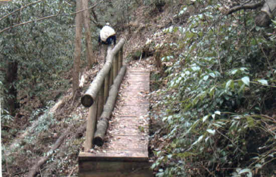 A downhill foot-bridge.