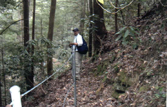 Some of the old support cables along this portion of trail.