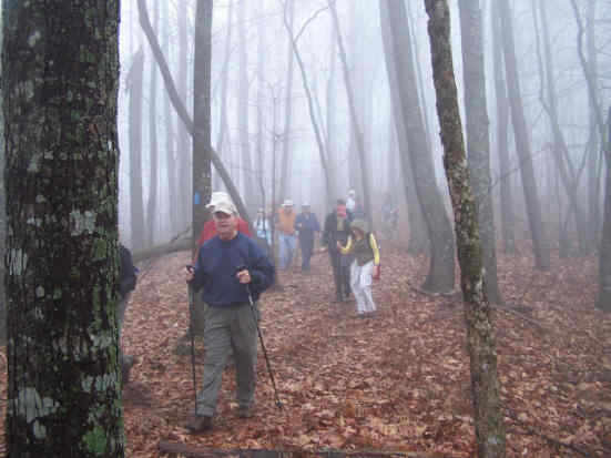 It was a bit foggy early in the hike.