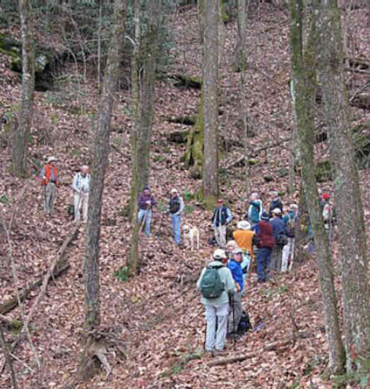 25 hikers today! Must have been the holiday calorie guilt!