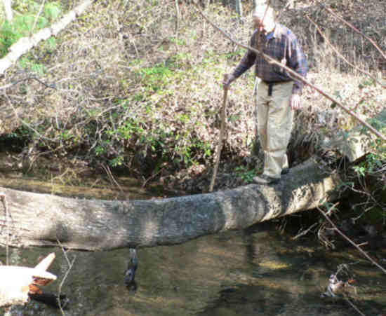 Another way to cross the creek. Not recommended by the American Council on Safe Practices, but Dan made it across! No one else tried it...