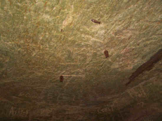 Inside the cave, we find some bats on the ceiling!