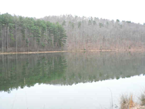 Beautiful reflections from the calm lake. .