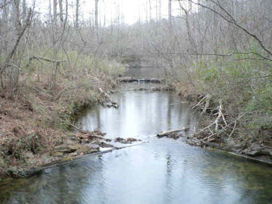 The creek below the dam.