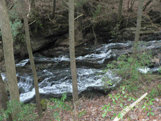Beautiful rushing cascades on Dicks Creek.