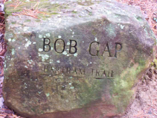 Certain points on this portion of the Bartram trail are marked with engraved boulders.