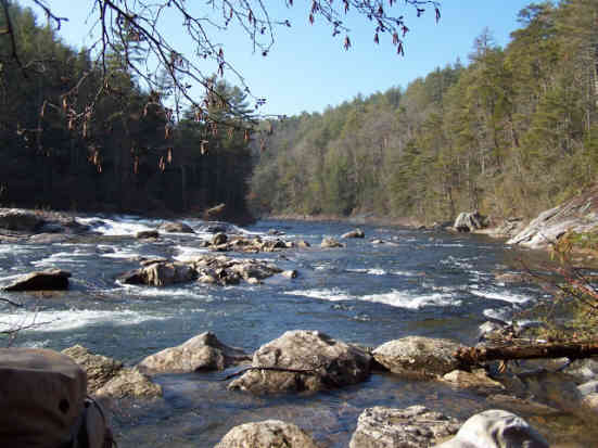 The beautiful Chattooga River! .
