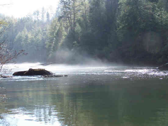 River beauty!