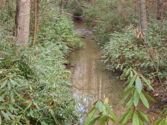 Dick's Creek.