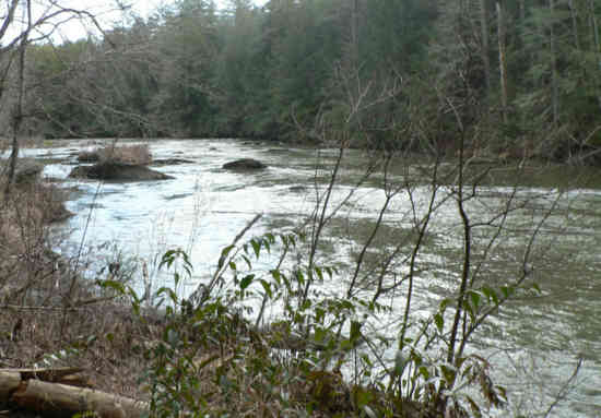 Here, the trail follows the beautiful Chattooga River.