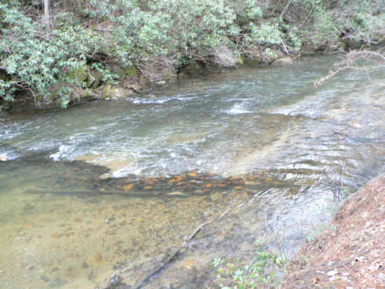 Warwoman Creek