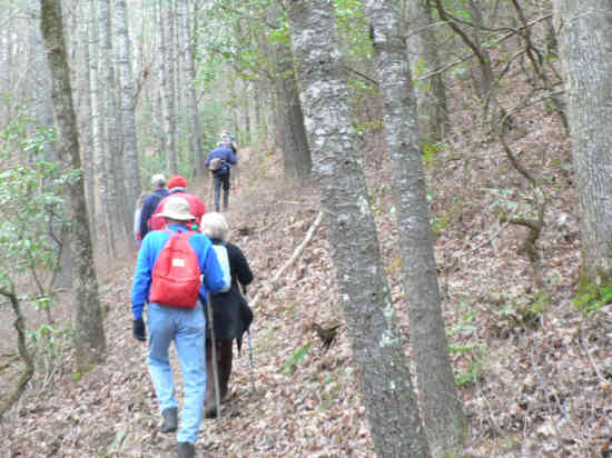 A beautiful walk in the woods!