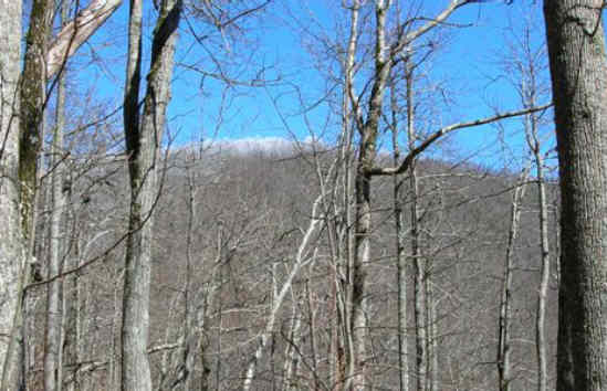 Looking up to the mountain top, we see rime ice. .