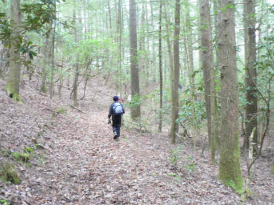 Another great day for a hike!