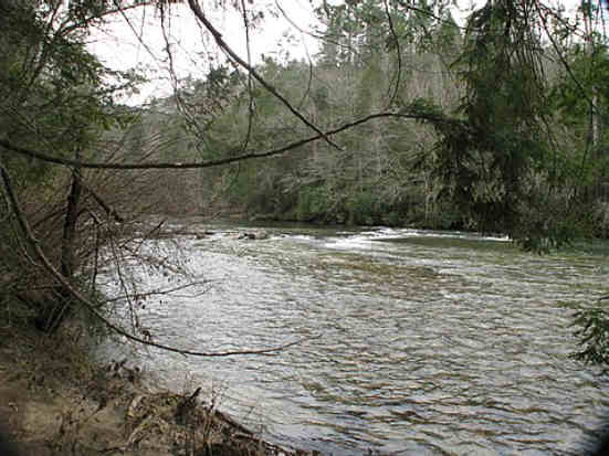 The Chattooga River as we approach our lunch spot for today.