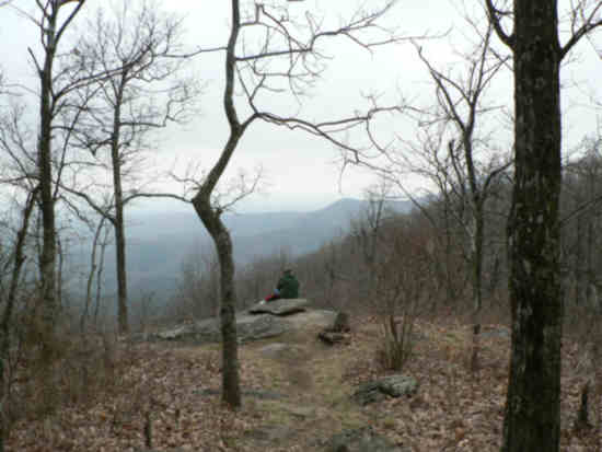 Typical view along the trail. .
