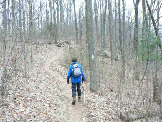 These white blazes mark the trail all the way to Mt. Katahdin, Maine.