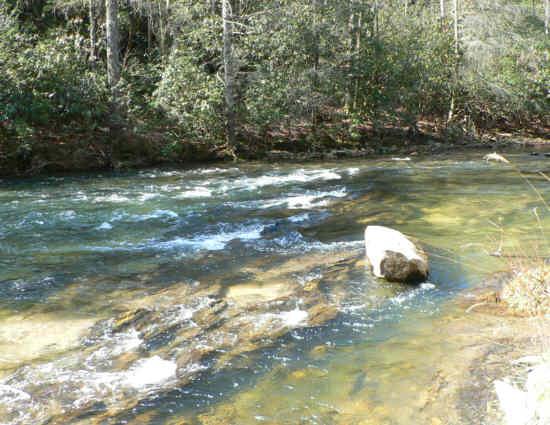 Typical view along the river.