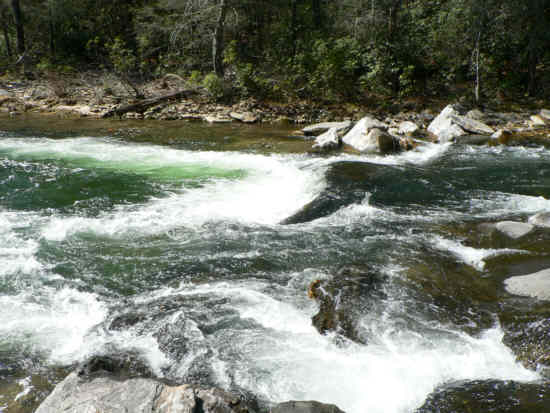 Roaring whitewater!