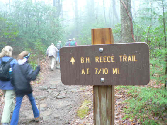 Heading up the connector to the Appalachian Trail.
