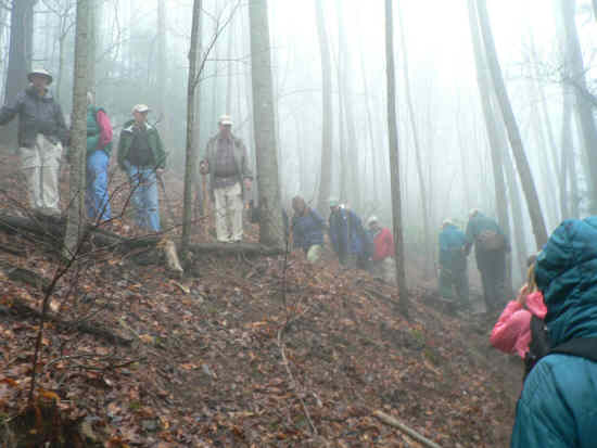 Another great day for a hike! 21 OFHC hikers.
