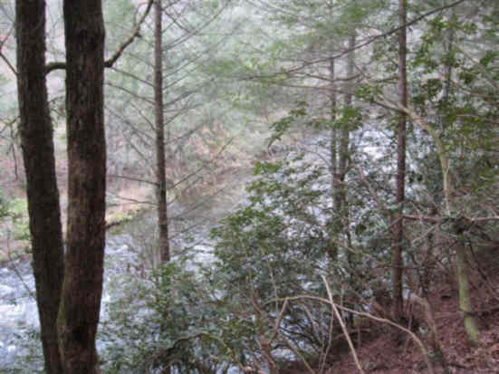 Here, we look down on the river from the trail.