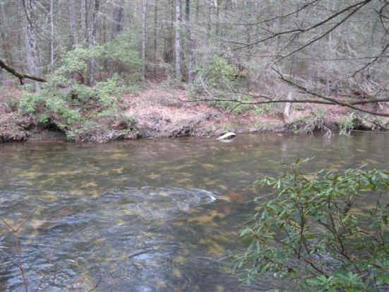 Typical view along the river.