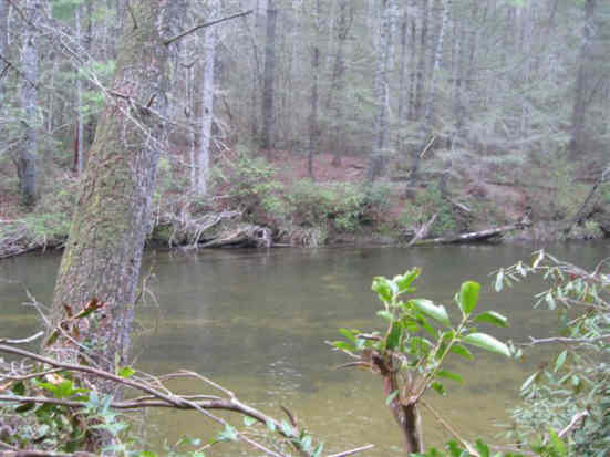 A nice calm spot along the river.