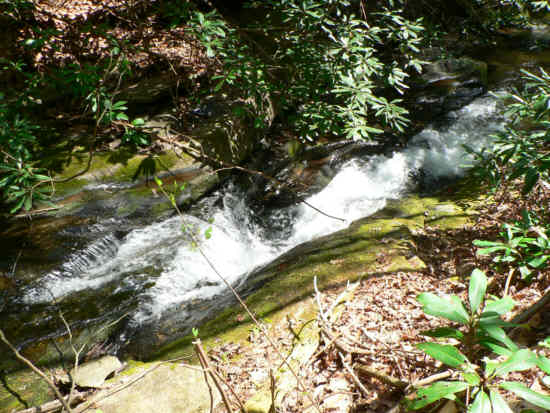 Just below the falls, Martin Creek rushes through a narrow rock crevice making a loud roar. .