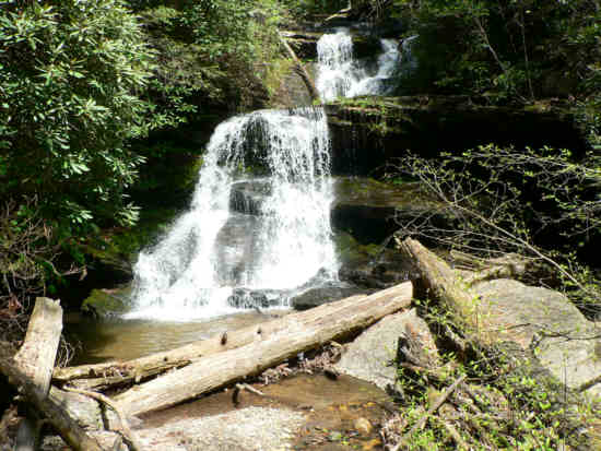 Beautiful Martin Creek Falls.