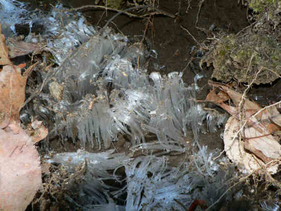 A cold morning as evidenced by this patch of Jack Frost. April 29th!