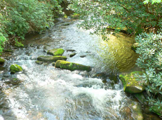 This is the view up the East Fork Chattooga as we cross the foot-bridge.