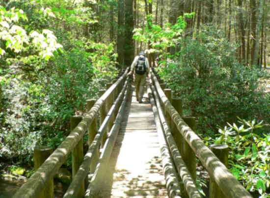 The foot-bridge across the East Fork (sometimes called the "$40,000 Bridge")