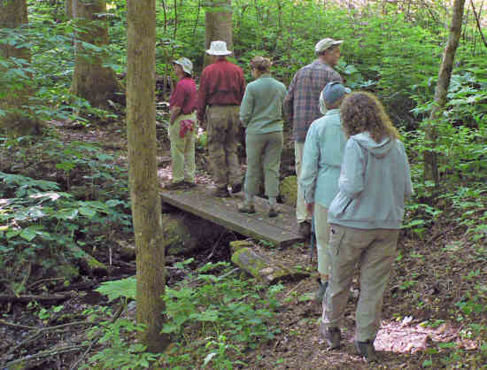 Crossing a foot-bridge in Sosebee Cove.