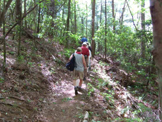 Another great day for a hike!