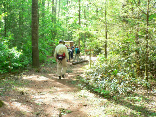 On the Foothills Trail as we approach the Bad Creek Trail intersection.