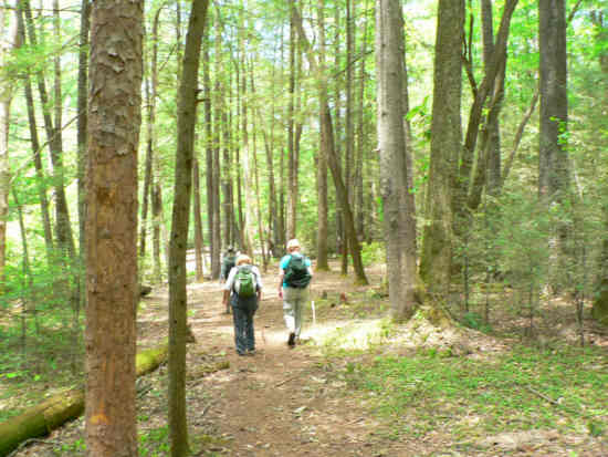 Another great day for a hike!
