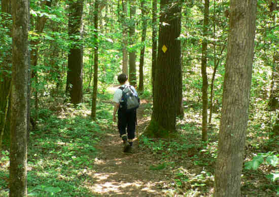 Another great day for a hike on the Bartram Trail! .