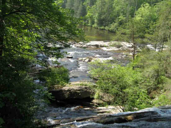 The beautiful Chattooga River!