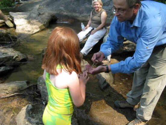 Hannah looks at a salamander.