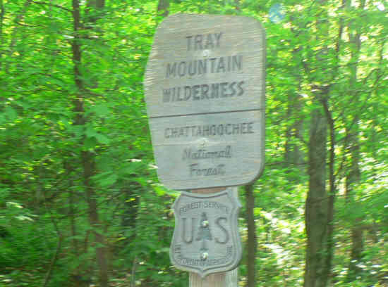 The wilderness sign near Tray Gap.