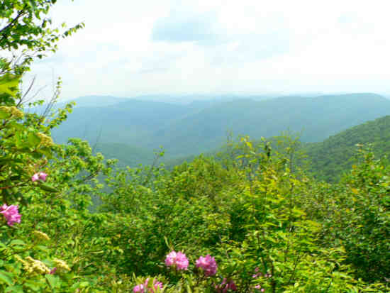 A view from the summit of Tray Mountain.