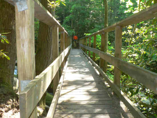 The Thompson River Foot-bridge.