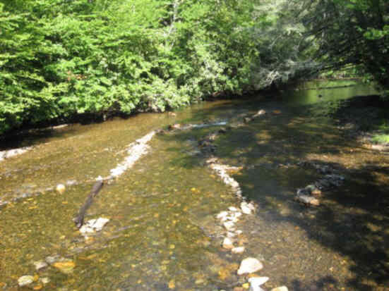 These are the headwaters of the Nantahala River.